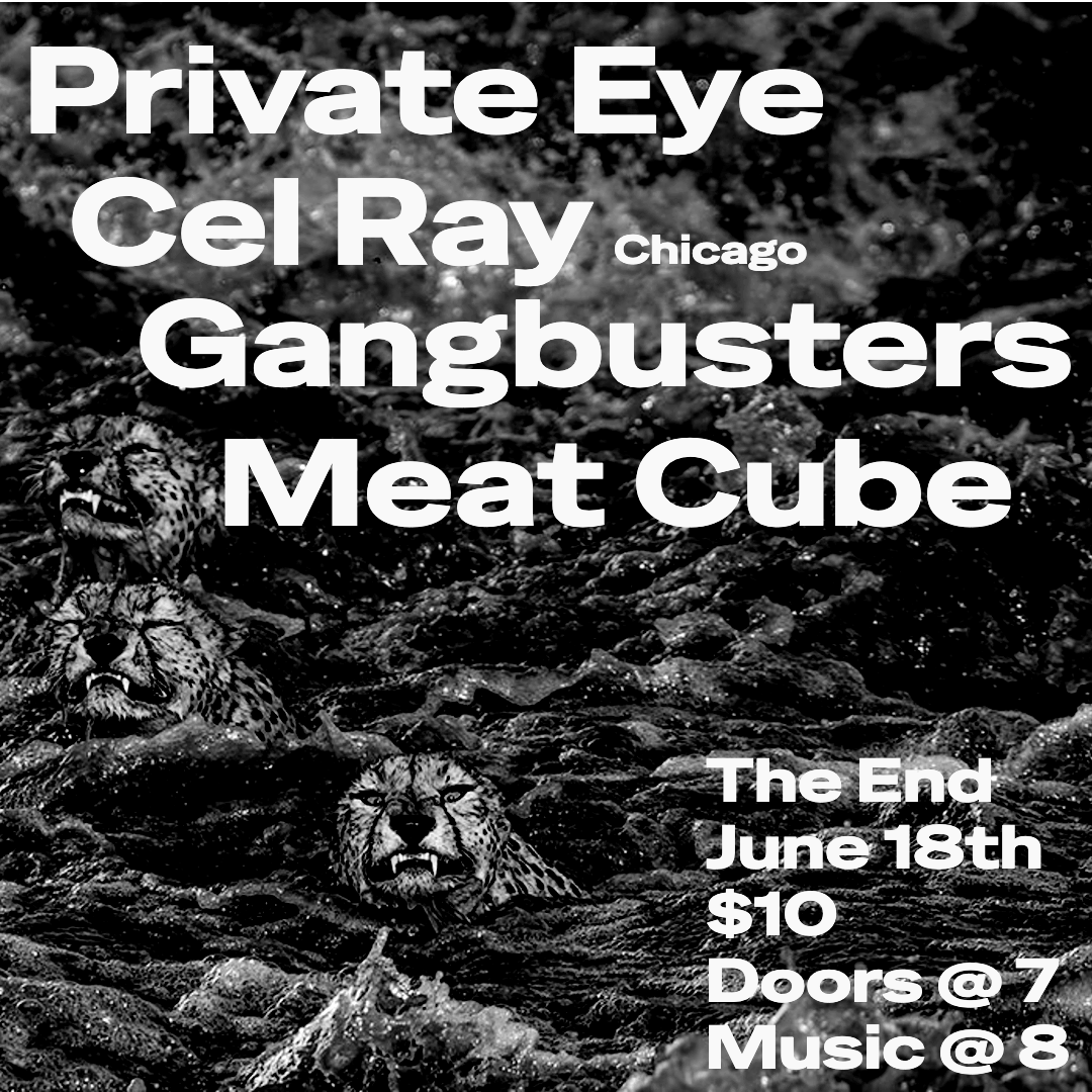 Private Eye w/ Celray, Gangbusters and Meatcube