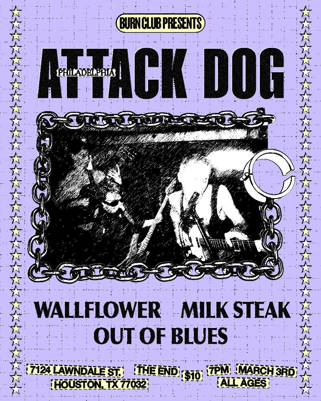 Attack Dog w/ Wallflower Milk Steak and Out Of Blues
